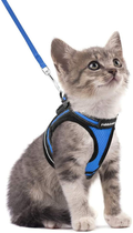 rabbitgoo Cat Harness and Leash Set for Walking Escape Proof, Adjustable Soft Kittens Vest with Reflective Strip for Cats, Comfortable Outdoor Vest, Black, S (Chest:9.0"-12.0")