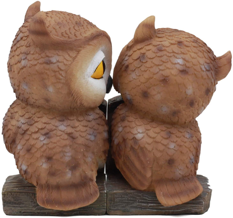 Ebros Romantic Kissing Love Owl Couple Decor Statue 2 Piece Set Decorative Figurine Valentines Birds Pair of Owls Holding Heart Shaped Sign Saying Owlways 4Ever Home & Garden > Decor > Seasonal & Holiday Decorations Ebros Gift   