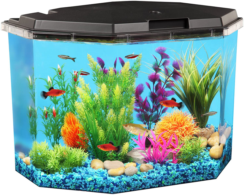 Koller Products 6.5-Gallon Aquarium Kit with Power Filter and LED Lighting, (AP650) Animals & Pet Supplies > Pet Supplies > Fish Supplies > Aquariums Koller Products Default Title  