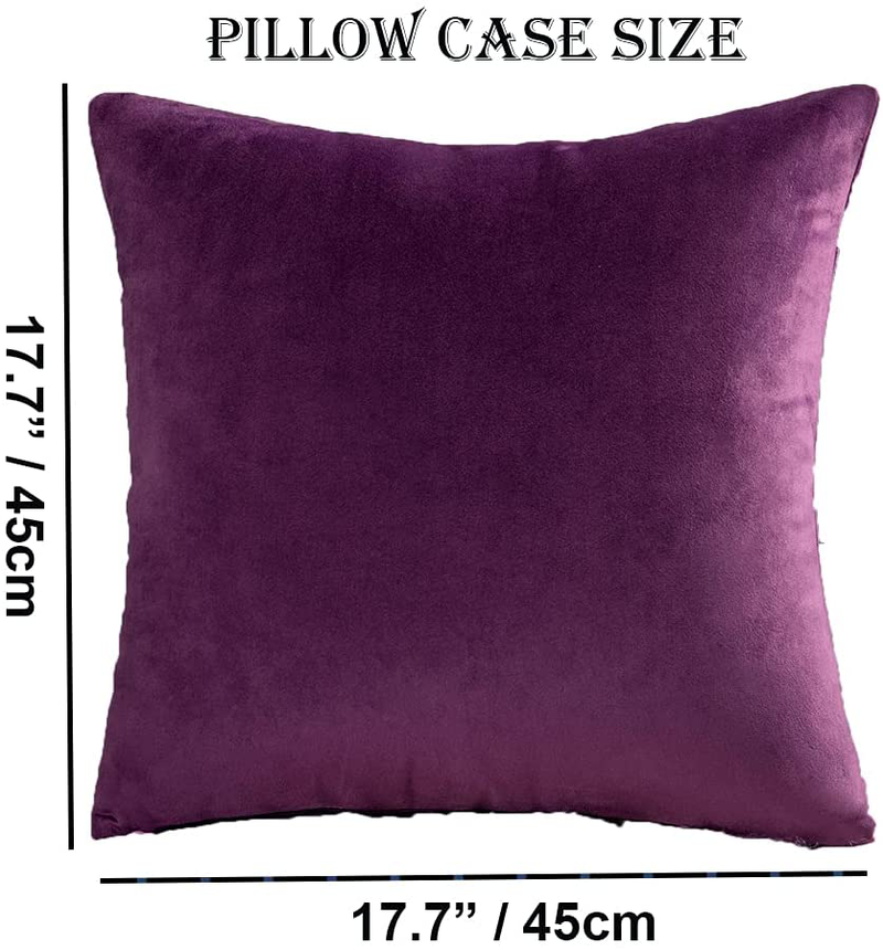 Throw Pillow Cover Velvet Purple - 18 X 18 Inch Purple Pillow Cushion Cover - Set of 2 Square Eggplant Cushion Case, Gift for Sofa, Chair, Bedroom and Nordic Home Decor (Eggplant Purple, 18"X18") Home & Garden > Decor > Chair & Sofa Cushions SIXUAN   