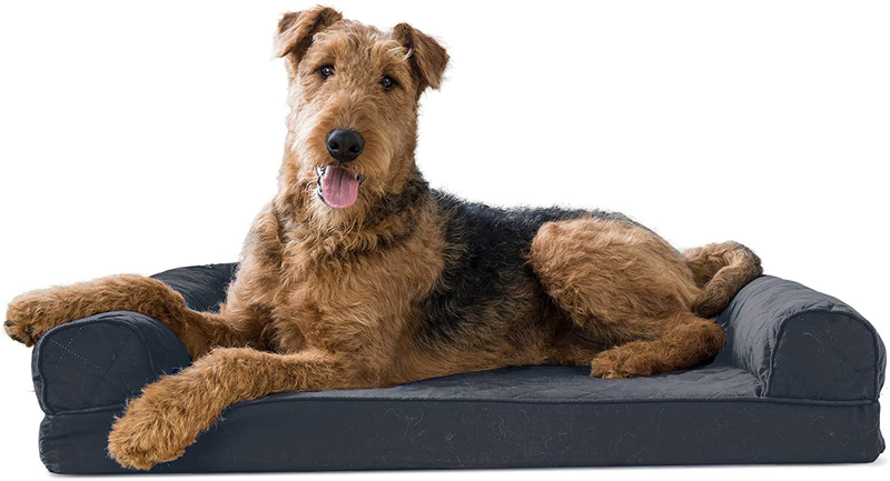 Furhaven Orthopedic Dog Beds for Small, Medium, and Large Dogs, CertiPUR-US Certified Foam Dog Bed Animals & Pet Supplies > Pet Supplies > Dog Supplies > Dog Beds Furhaven Quilted Iron Gray Memory Foam Large (Pack of 1)