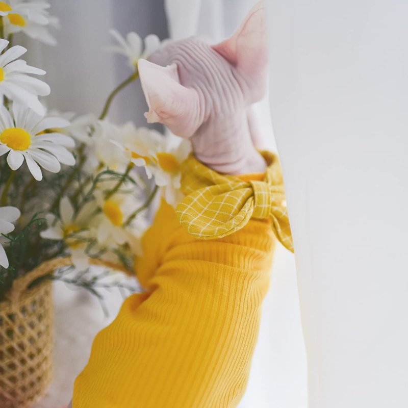 Sphynx Cat Clothes Literary Pineapple Fashion Pet Clothes Comfortable Spring Summer Cat'S Shirts Kitten Shirts Cat Apparel for Sphinx, Cornish Rex, Devon Rex, Peterbald,Knnis,Abbey Cat Animals & Pet Supplies > Pet Supplies > Cat Supplies > Cat Apparel DUOMASUMI   