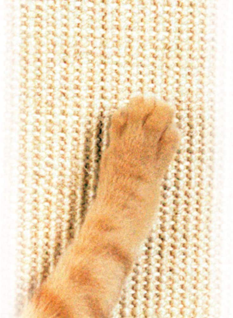Smartcat Pioneer Pet Ultimate Scratching Post Animals & Pet Supplies > Pet Supplies > Cat Supplies > Cat Beds SmartCat   