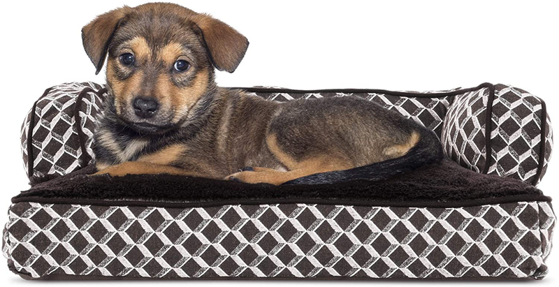 Furhaven Orthopedic Dog Beds for Small, Medium, and Large Dogs, CertiPUR-US Certified Foam Dog Bed Animals & Pet Supplies > Pet Supplies > Dog Supplies > Dog Beds Furhaven Diamond Brown Pillow (Fiberfill) Small (Pack of 1)