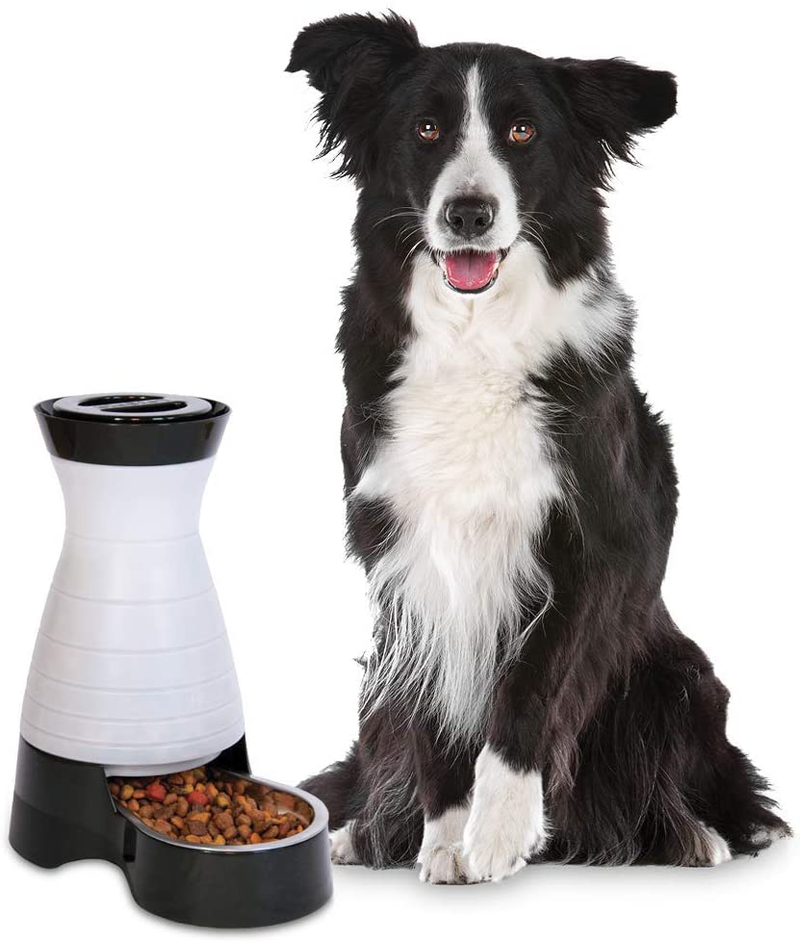 PetSafe Healthy Pet Gravity Food or Water Station, Automatic Dog and Cat Feeder or Water Dispenser, Small, Medium, Large Animals & Pet Supplies > Pet Supplies > Dog Supplies Water & Feed Feeder Medium (Pack of 1) 