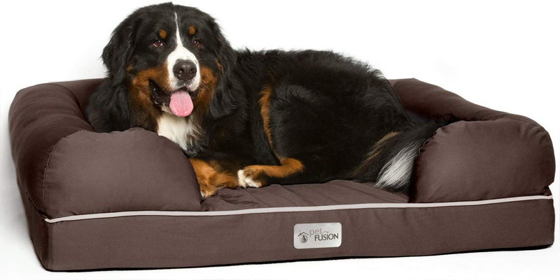 PetFusion Ultimate Dog Bed, Solid CertiPur-US Memory Foam Orthopedic Dog Bed, 3 Colors & 4 Sizes, Medium Firmness Pillow, Waterproof Dog Bed Liner & Breathable Cover, Cert Skin Contact Safe, 3yr Warr Animals & Pet Supplies > Pet Supplies > Dog Supplies > Dog Beds PetFusion, LLC. Chocolate Brown XL (44 in x 34 in) 