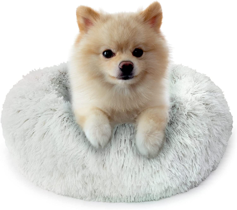Fluffy Dog Bed for Small Dogs and Cats,Original Calming Donut Dog Bed,Washable Cozy Dog Bed with Extra Soft Anti-Slip Bottom, Self Warming Styles&Multiple Size 28“ Animals & Pet Supplies > Pet Supplies > Dog Supplies > Dog Beds Queeplo Frost  