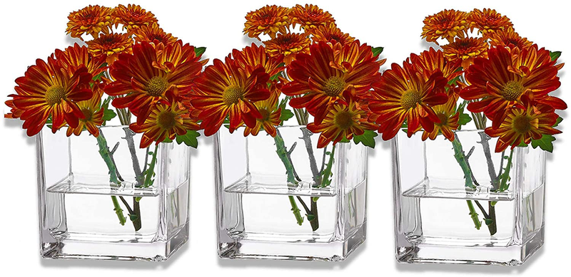 PARNOO Set of 3 Glass Square Vases 4 x 4 Inch – Clear Cube Shape Flower Vase, Candle Holders - Perfect as a Wedding Centerpieces, Home Decoration