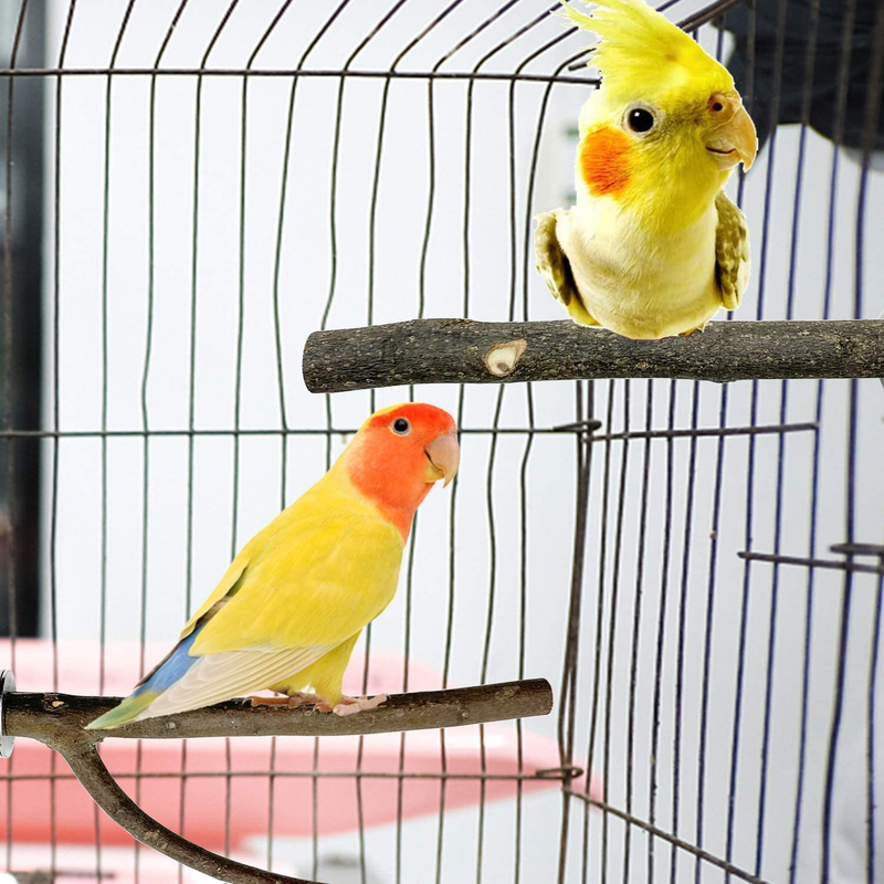 EBaokuup Bird Parrot Perch Stand Set - 10 PCS Small Bird Parakeet Stand Toys, Natural Wood Fork Perch Rod Stand Bird Cage Accessories for Pet Budgies Cockatiels Conure Lovebirds