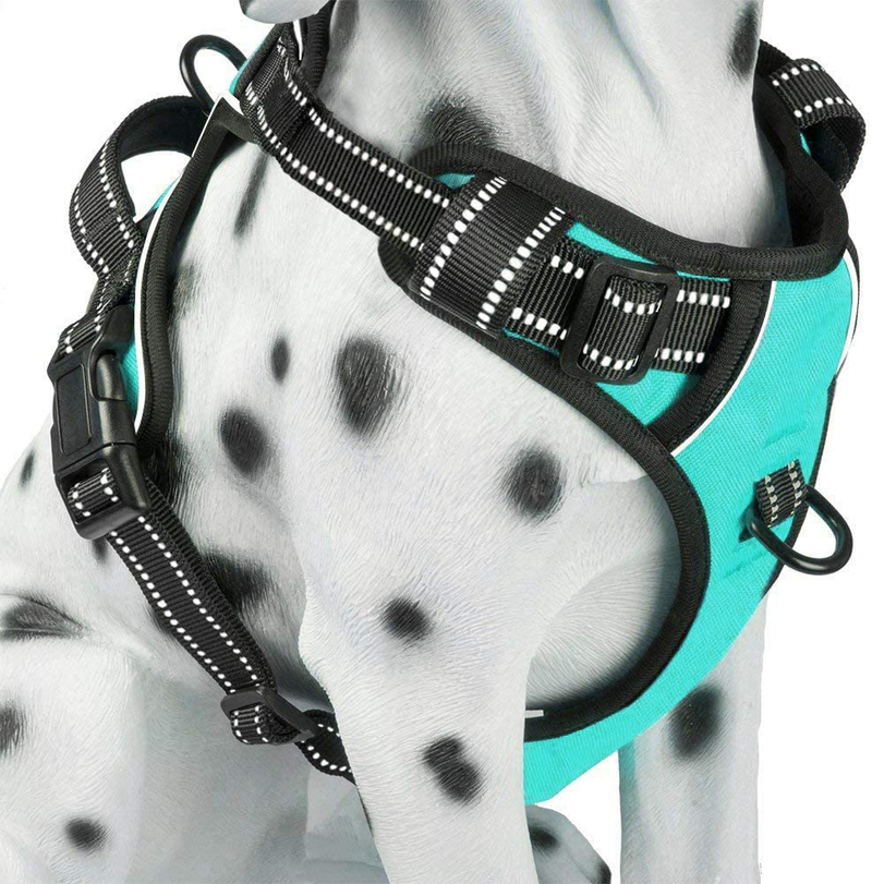 PoyPet No Pull Dog Harness, Reflective Vest Harness with 2 Leash Attachments and Easy Control Handle for Small Medium Large Dog Animals & Pet Supplies > Pet Supplies > Dog Supplies PoyPet Mint Blue XS 