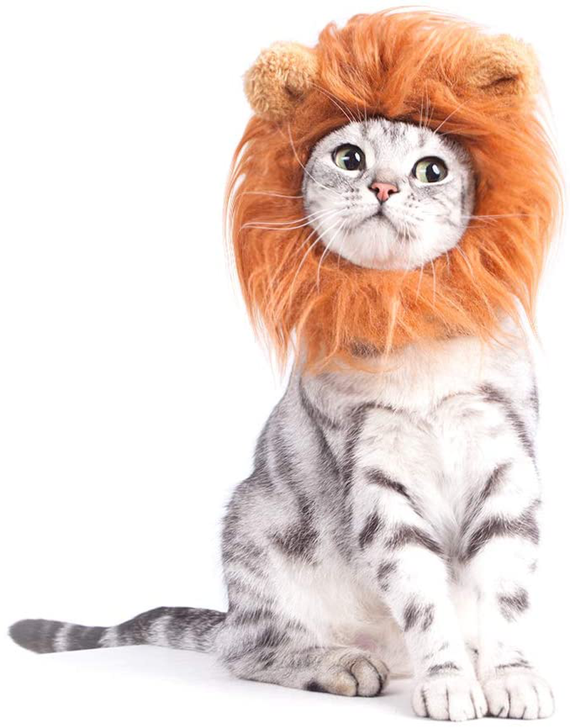 GALOPAR Cat Apparel, Halloween Pet Costume Dog Cat Costume Lion Mane Wig for Cats and Small Dogs, Party, Photo Shoots, Entertainment, Cosplay Animals & Pet Supplies > Pet Supplies > Cat Supplies > Cat Apparel GALOPAR   