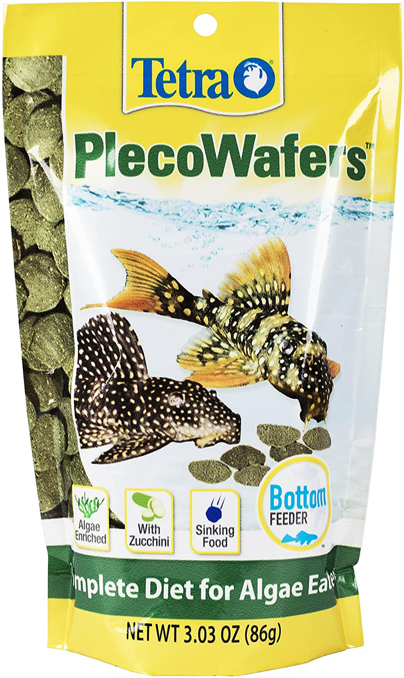 Tetra Algae Wafers Animals & Pet Supplies > Pet Supplies > Fish Supplies > Fish Food Tetra 3.03 Ounce (Pack of 1)  