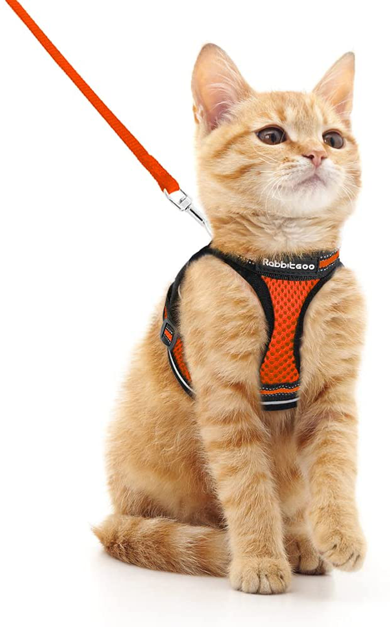 rabbitgoo Cat Harness and Leash Set for Walking Escape Proof, Adjustable Soft Kittens Vest with Reflective Strip for Cats, Comfortable Outdoor Vest, Black, S (Chest:9.0"-12.0") Animals & Pet Supplies > Pet Supplies > Cat Supplies > Cat Apparel rabbitgoo Orange Medium 