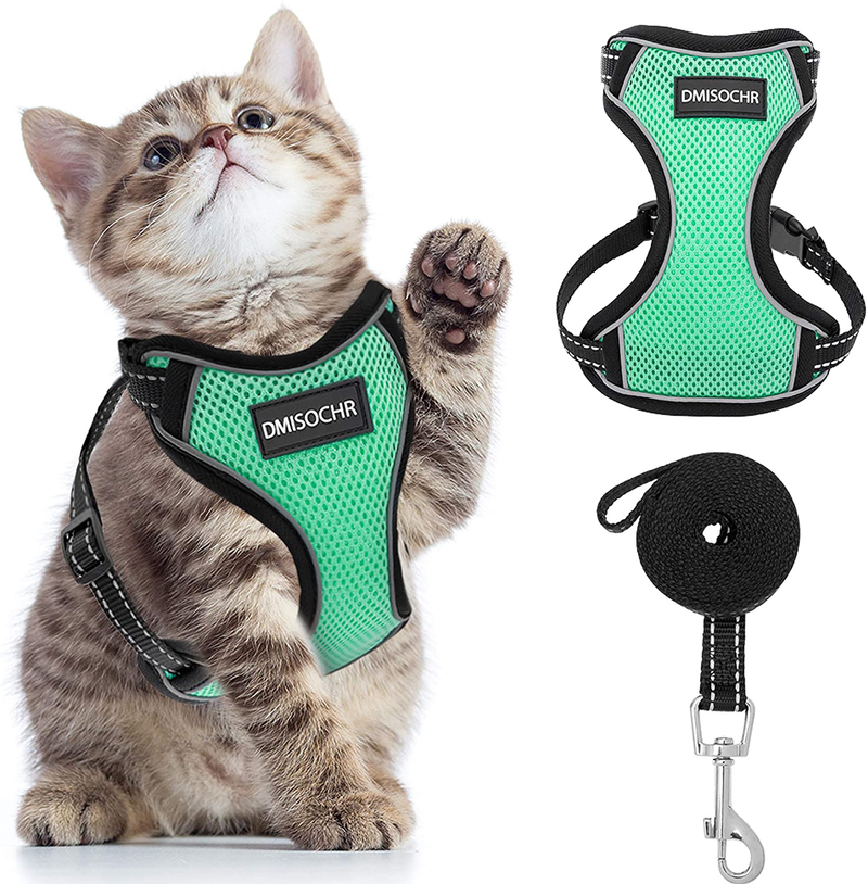 DMISOCHR Cat Harness and Leash Set - Escape Proof Safe Cat Vest Harness for Walking Outdoor - Reflective Adjustable Soft Mesh Breathable Body Harness - Easy Control for Small, Medium, Large Cats Animals & Pet Supplies > Pet Supplies > Cat Supplies > Cat Apparel DMISOCHR Cyan Small (neck: 7"-11" chest: 10.5"-16") 