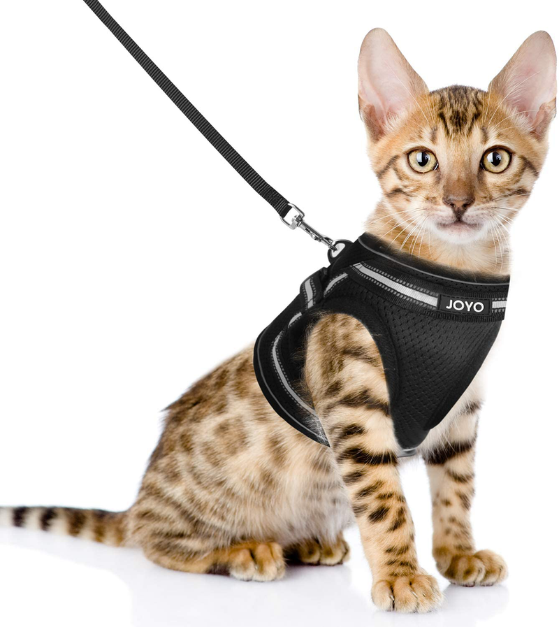 JOYO Small Cat Vest Harness, Breathable Soft Cat Harness and Lesh, Adjustable Easy Control Kitty Harness Escape Proof with Reflective Strap, Size M: Chest Girth:13.9-15.5 in, Weight 9-12 lb