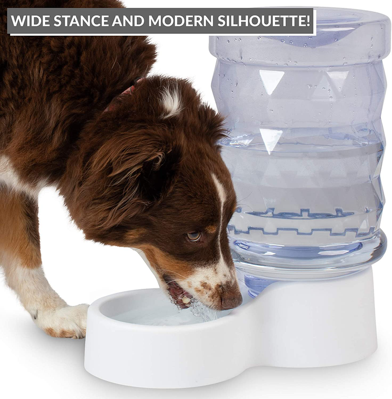PetFusion H2O Gravity Pet Water Dispenser. Durable 2.5 Gallon Water Feeder. Automatic Water Station for Cats & Small, Medium, & Large Dogs