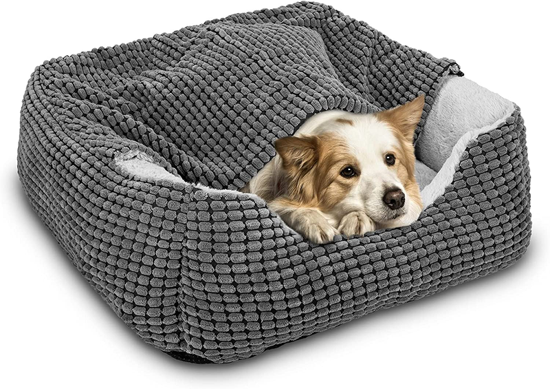 GASUR Dog Beds for Large Medium Small Dogs, Rectangle Cave Hooded Blanket Puppy Bed, Luxury Anti-Anxiety Orthopedic Cat Beds for Indoor Cats, Warmth and Machine Washable Animals & Pet Supplies > Pet Supplies > Dog Supplies > Dog Beds GASUR Grey 35 inches 