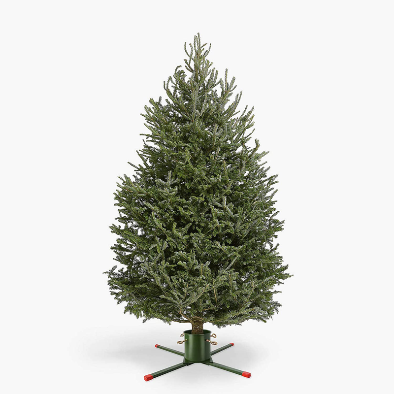 EZYDECOR Welded Christmas Tree Stand for Live Trees Real Xmas Tree Base Metal Christmas Tree Stand (Green) 30.5" Home & Garden > Decor > Seasonal & Holiday Decorations > Christmas Tree Stands EZYDECOR   