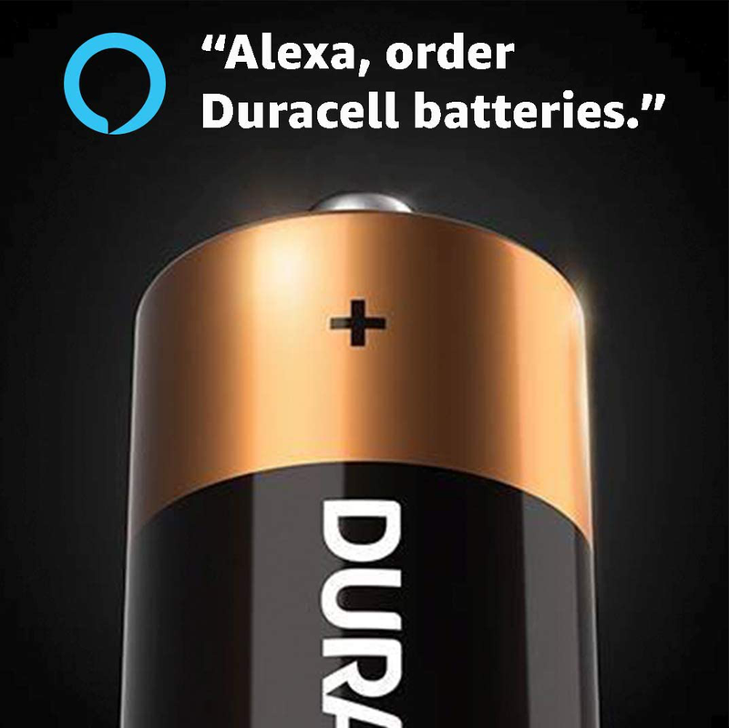 Duracell - CopperTop AAA Alkaline Batteries - Long Lasting, All-Purpose Triple A Battery for Household and Business - 20 Count Electronics > Electronics Accessories > Power > Batteries Duracell   