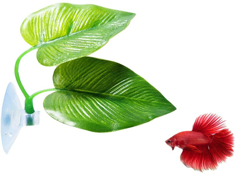 CousDUoBe Betta Fish Leaf Pad - Improves Betta's Health by Simulating The Natural Habitat（ Double Leaf Design, one Big and one Small ） Animals & Pet Supplies > Pet Supplies > Fish Supplies > Aquarium Decor CousDUoBe 1 Pack Betta Fish Leaf  