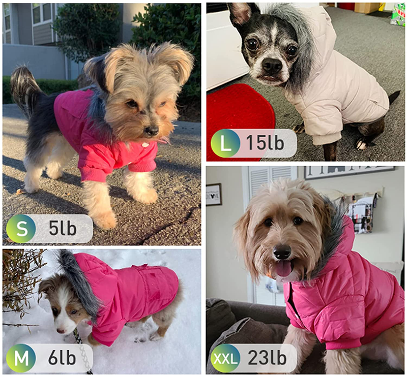 Lesypet Dog Warm Winter Coat, Doggy Coats for Small Dogs Wind Resist Paded Warm Jacket for Puppy Animals & Pet Supplies > Pet Supplies > Dog Supplies > Dog Apparel lesypet   