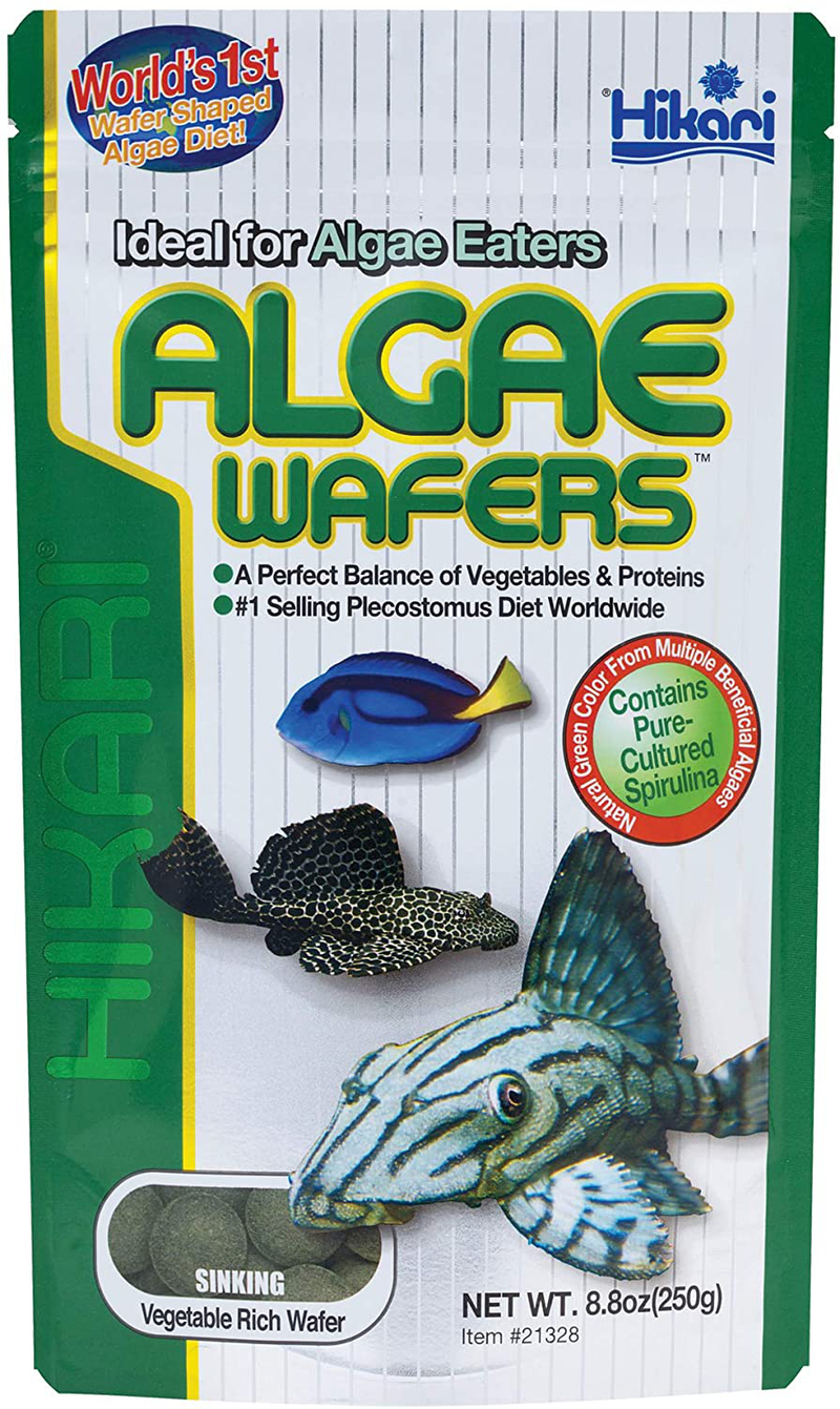 Hikari Usa Inc AHK21328 tropical Algae Wafer 8.8-Ounce Animals & Pet Supplies > Pet Supplies > Fish Supplies > Fish Food Hikerman 99020262 Default Title  