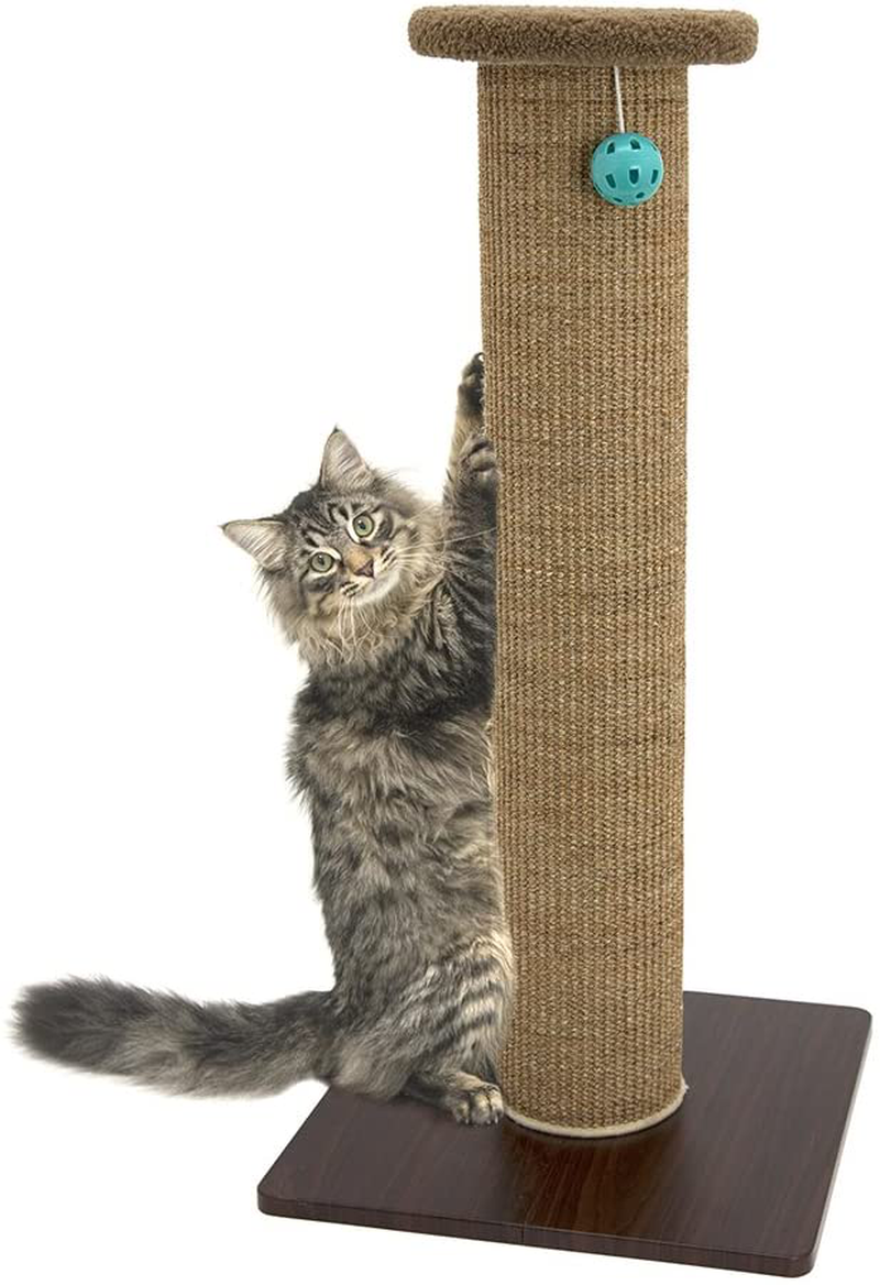 Kitty City Premium Woven Sisal Scratching Collection, Scratching Post, Perch Cushion Animals & Pet Supplies > Pet Supplies > Cat Supplies > Cat Beds Kitty City Cat Post  