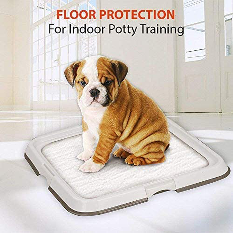 PAWISE Large Dog Training Pad Holder, Best Portable Puppy Trainer - Indoor Dog Potty - Puppy Pad Floor Tray, 24''X24'' Animals & Pet Supplies > Pet Supplies > Dog Supplies > Dog Diaper Pads & Liners PAWISE   