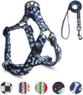 QQPETS Dog Harness Leash Set Adjustable Heavy Duty No Pull Halter Harnesses for Small Medium Large Breed Dogs Back Clip Anti-Twist Perfect for Walking