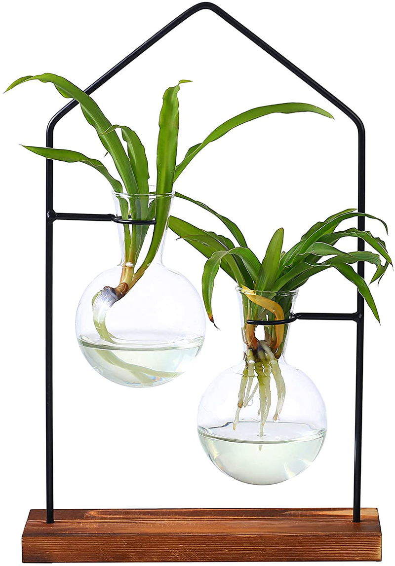 Plant Propagation Station Indoor for Hydroponic Plant, Plant Terrarium for Air Plants, Propogation Planters Glass Bulb Vase for Tabletop Coffee,Table Desk,Office Home Décor(2 Bulb Vases&1 Wood Stand) Home & Garden > Decor > Vases Planterhoma 2 bulb vases with 1 house stand  