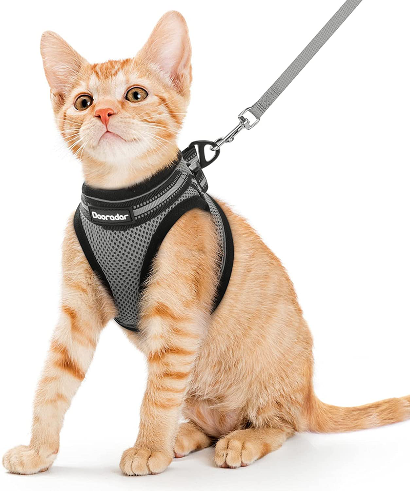 Dooradar Cat Leash and Harness Set Escape Proof Safe Cats Step-in Vest Harness for Walking Outdoor Adjustable Kitten Harness with Reflective Strip Breathable Mesh for Cat, Multiple Color Animals & Pet Supplies > Pet Supplies > Cat Supplies > Cat Apparel Dooradar Grey Medium (Pack of 1) 