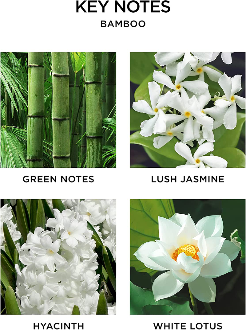 NEST Fragrances Bamboo Special Edition 3-Wick Candle Home & Garden > Decor > Home Fragrances > Candles NEST Fragrances   