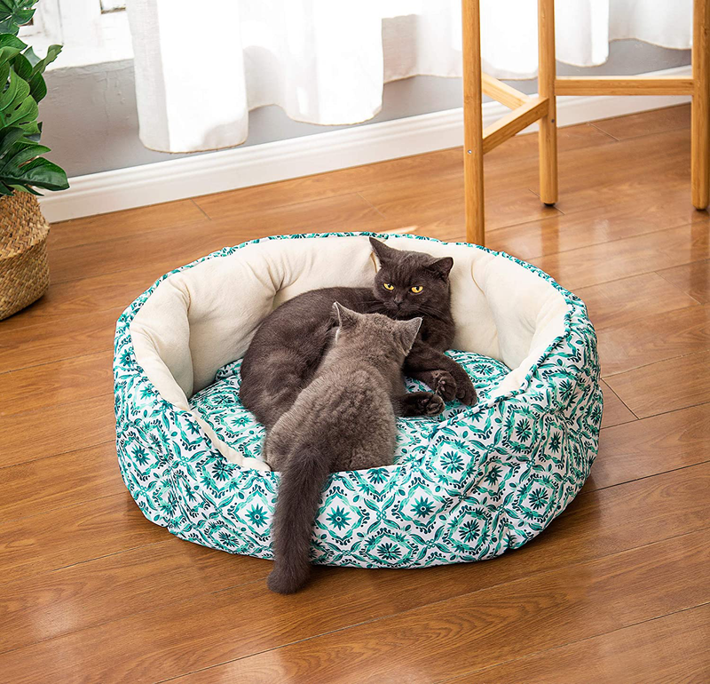 LUCKITTY Cat Bed,Soft Velvet & Waterproof Oxford Two-Sided Cushion, Easy Washable,Oval Geometric Pet Beds for Indoor Cats or Small Animas Animals & Pet Supplies > Pet Supplies > Dog Supplies > Dog Beds Chengyu Boho Green 25 Inch 