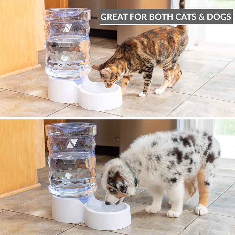 PetFusion H2O Gravity Pet Water Dispenser. Durable 2.5 Gallon Water Feeder. Automatic Water Station for Cats & Small, Medium, & Large Dogs