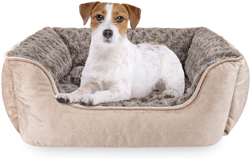 JOEJOY Rectangle Dog Bed for Large Medium Small Dogs Machine Washable Sleeping Dog Sofa Bed Non-Slip Bottom Breathable Soft Puppy Bed Durable Orthopedic Calming Pet Cuddler, Multiple Size, Beige Animals & Pet Supplies > Pet Supplies > Dog Supplies > Dog Beds JOEJOY M(25"x 21"x 8")  