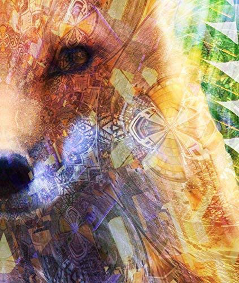 Divine Fox Tapestry, Trippy Animal Design, Psychedelic Orange/Green Abstract Artwork Wall Hanging, for Bedroom Living Room Dorm, Tall 48x72 inches Home & Garden > Decor > Artwork > Decorative TapestriesHome & Garden > Decor > Artwork > Decorative Tapestries Lucid Eye Studios   