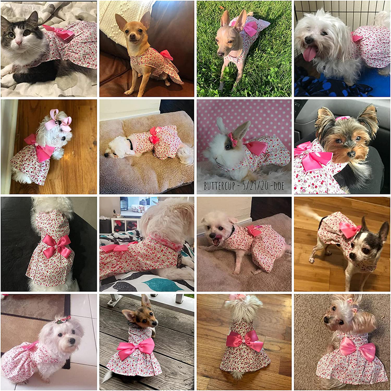 Petroom Puppy Dog Dress,Thin Cute Floral Princess Ribbon Skirt for Small Dogs Cats for Summer Animals & Pet Supplies > Pet Supplies > Cat Supplies > Cat Apparel Petroom   