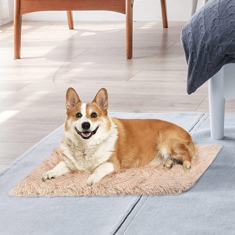 JATEN Calming Dog Beds Donut Cuddler with Blanket, Pet Beds for Small Medium Large Dogs and Cats, Indoor Faux Fur Dog Beds Animals & Pet Supplies > Pet Supplies > Dog Supplies > Dog Beds JATEN   