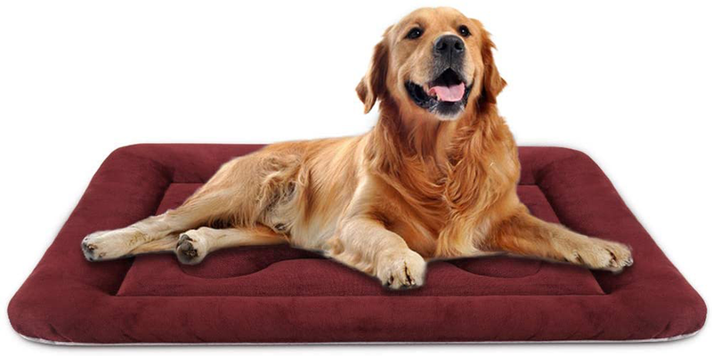 Dog Bed Large Crate Mat 42 in Non-Slip Washable Soft Mattress Kennel Pads Animals & Pet Supplies > Pet Supplies > Dog Supplies > Dog Beds JoicyCo Wine Red 42" 
