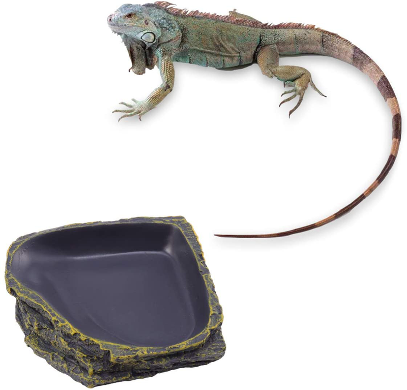 POPETPOP Reptile Food Dish Terrarium Water Bowl Food Feeding Plate Container Drinking Water Tray Resin for Snake Tortoise Frog