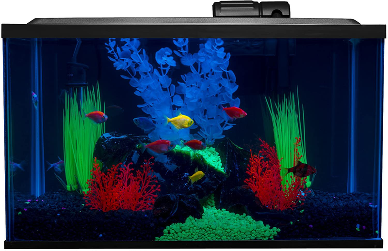 GloFish Aquarium Kit Fish Tank with LED Lighting and Filtration Included
