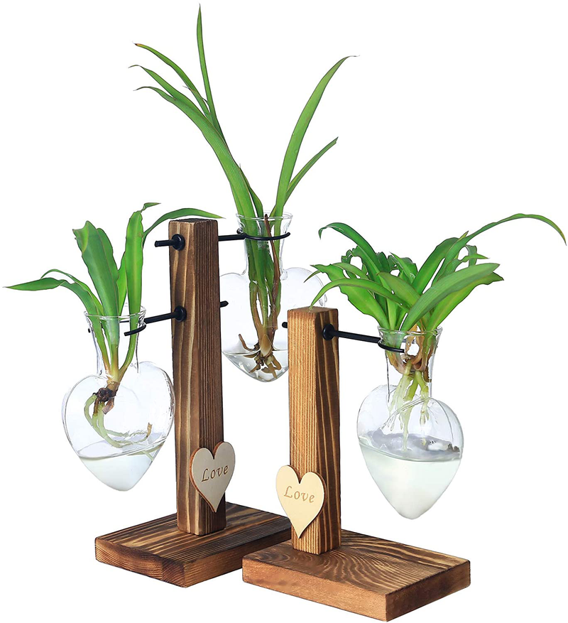 Plant Propagation Station Indoor for Hydroponic Plant, Plant Terrarium for Air Plants, Propogation Planters Glass Bulb Vase for Tabletop Coffee,Table Desk,Office Home Décor(2 Bulb Vases&1 Wood Stand) Home & Garden > Decor > Vases Planterhoma 3 Love vases with 2 wood stands  