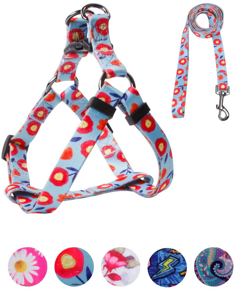 QQPETS Dog Harness Leash Set Adjustable Heavy Duty No Pull Halter Harnesses for Small Medium Large Breed Dogs Back Clip Anti-Twist Perfect for Walking Animals & Pet Supplies > Pet Supplies > Dog Supplies Guangzhou QQPETS Pet Products Co., Ltd. Tulip L(23"-32" Chest Girth) 