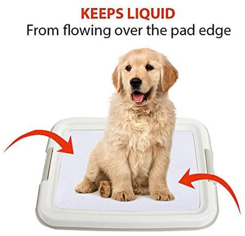 PAWISE Large Dog Training Pad Holder, Best Portable Puppy Trainer - Indoor Dog Potty - Puppy Pad Floor Tray, 24''X24''