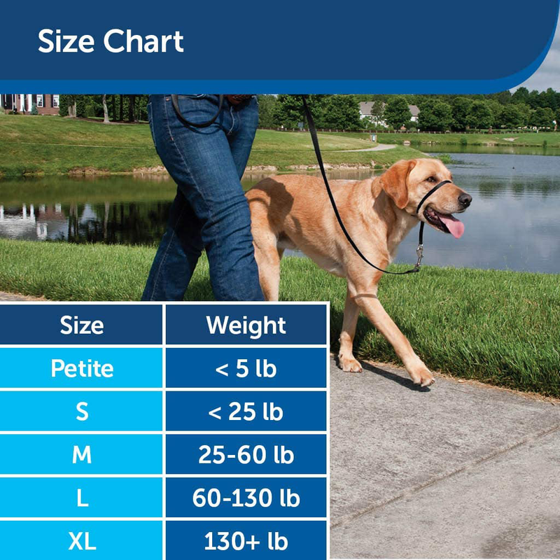 PetSafe Gentle Leader Headcollar, No-Pull Dog Collar – Perfect for Leash & Harness Training