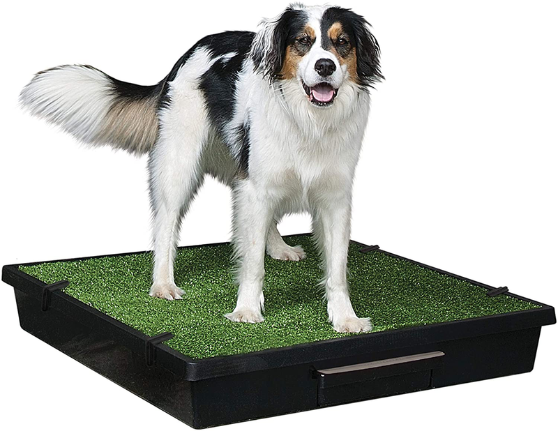 PetSafe Pet Loo Portable Outdoor or Indoor Dog Potty - Dog Grass Pad with Tray - Alternative to Puppy Pads - Easy to Clean Dog Potty Grass, Absorbent Wee Sponge, Pee Pod - Small, Medium, Large Animals & Pet Supplies > Pet Supplies > Dog Supplies > Dog Diaper Pads & Liners PetSafe Large (Pack of 1)  