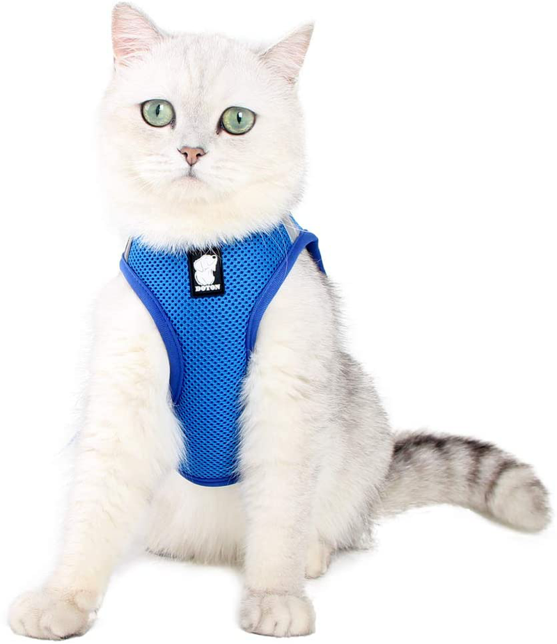 Heywean Cat Harness and Leash - Ultra Light Escape Proof Kitten Collar Cat Walking Jacket with Running Cushioning Soft and Comfortable Suitable for Puppies Rabbits Animals & Pet Supplies > Pet Supplies > Cat Supplies > Cat Apparel HEYWEAN Lake blue Small (Pack of 1) 