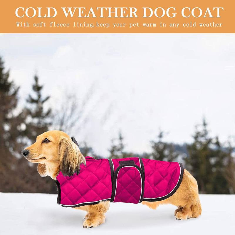 Geyecete Warm Thermal Quilted Dachshund Coat, Dog Winter Coat with Warm Fleece Lining, Outdoor Dog Apparel with Adjustable Bands for Medium, Large Dog Animals & Pet Supplies > Pet Supplies > Dog Supplies > Dog Apparel Geyecete   