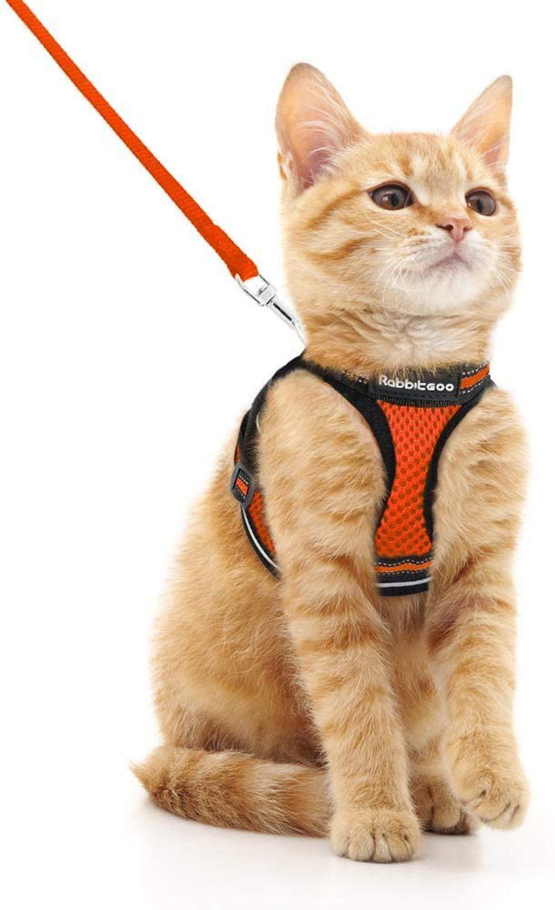 rabbitgoo Cat Harness and Leash Set for Walking Escape Proof, Adjustable Soft Kittens Vest with Reflective Strip for Cats, Comfortable Outdoor Vest, Black, S (Chest:9.0"-12.0") Animals & Pet Supplies > Pet Supplies > Cat Supplies > Cat Apparel rabbitgoo Orange Small 
