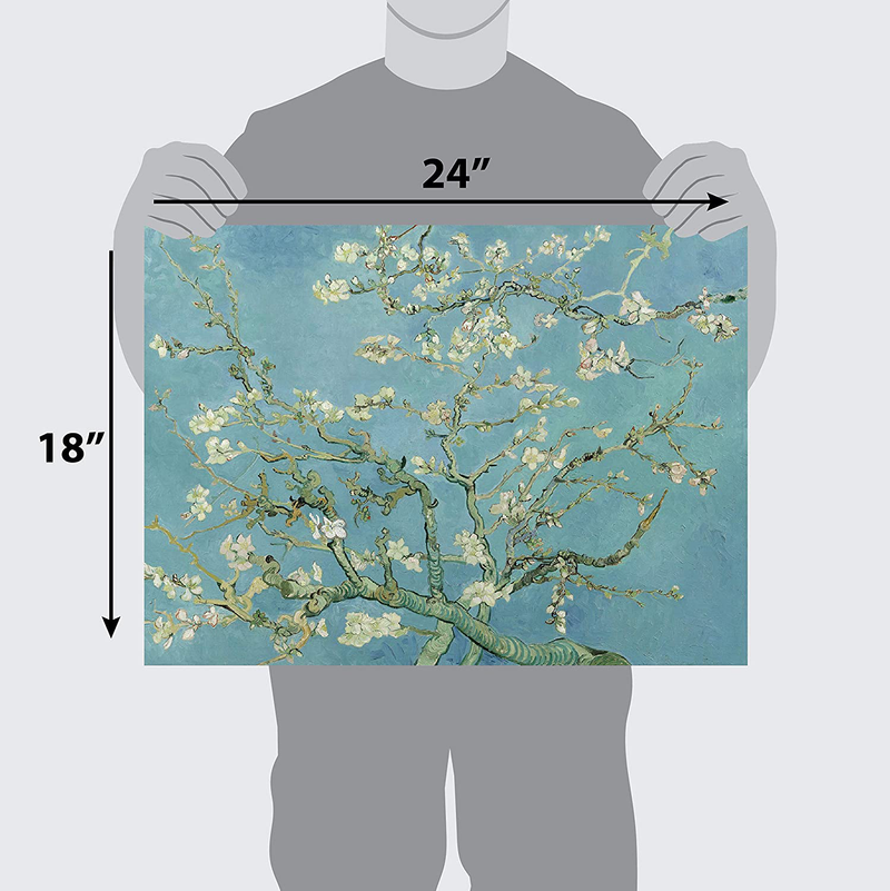 Palacelearning Vincent Van Gogh Almond Blossom Poster Print - 1890 - Fine Art Wall Decor (18" X 24", Laminated) Home & Garden > Decor > Artwork > Posters, Prints, & Visual Artwork Palace Learning   